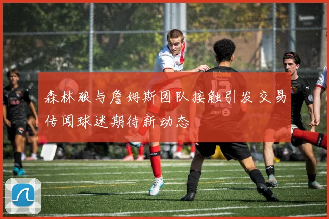 森林狼与詹姆斯团队接触引发交易传闻球迷期待新动态