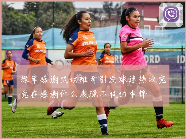 绿军感谢武切维奇引发球迷热议究竟在感谢什么表现不佳的中锋